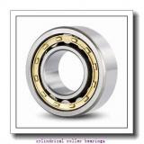 2.165 Inch | 55 Millimeter x 4.724 Inch | 120 Millimeter x 1.938 Inch | 49.225 Millimeter  LINK BELT MU5311UM  Cylindrical Roller Bearings