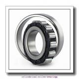 3.776 Inch | 95.91 Millimeter x 6.299 Inch | 160 Millimeter x 2.688 Inch | 68.275 Millimeter  LINK BELT M5315EX  Cylindrical Roller Bearings