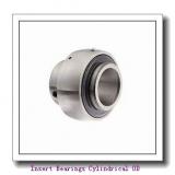 SKF YET 206-103 CWU  Insert Bearings Cylindrical OD